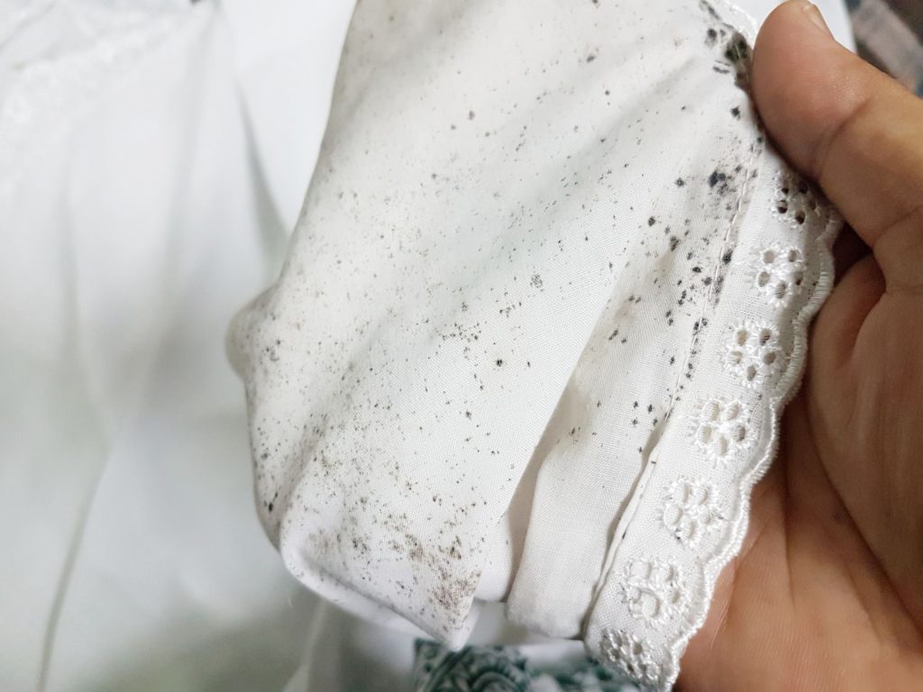 Deformación nieve Gallina Cómo quitar el moho de la ropa - Eliminar el olor a humedad